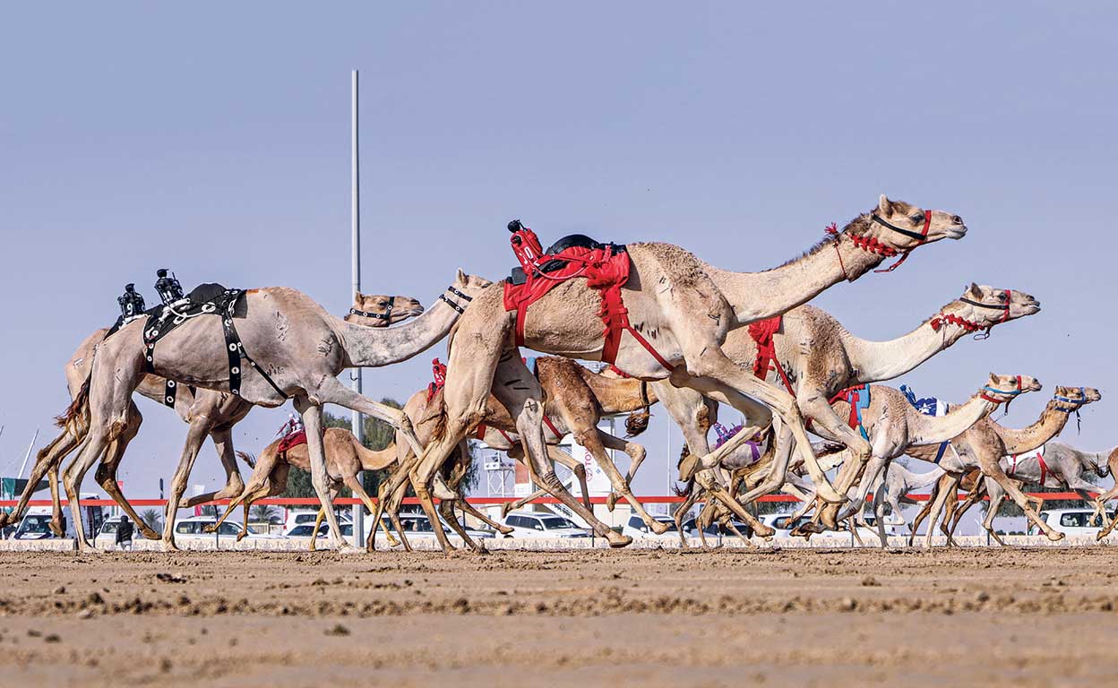 Los robots ganan las carreras del desierto