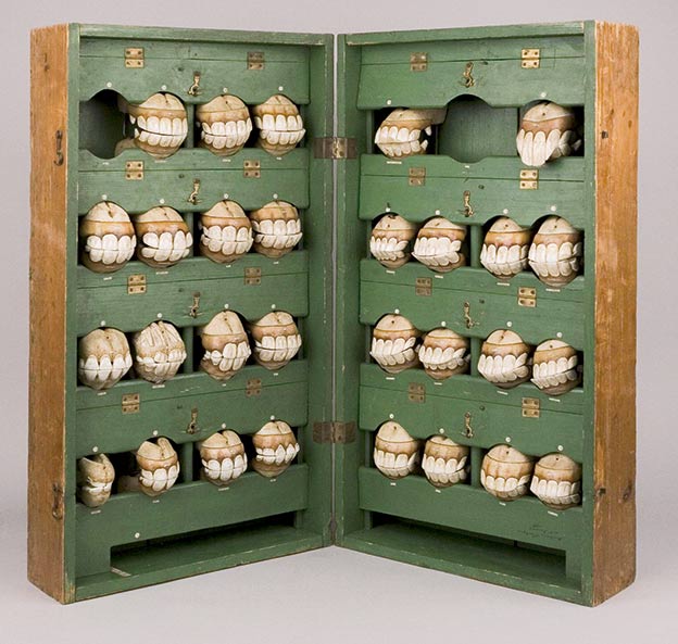 El estudio del desgaste dental en fósiles equinos fija el nacimiento de la equitación en Kazajistán hacia el cuarto milenio antes de Cristo. Abajo, dentaduras de caballos reproducidas por el médico francés Louis Auzoux a finales del XIX.