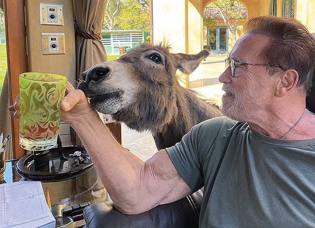 Durante la pandemia, sus vídeos con Lulu y Whiskey, su burro y su poni, lograron hasta cinco millones de likes. «Ya no salimos, ya no vamos a restaurantes, comemos aquí con Whiskey y Lulu, pero nos lo pasamos tan bien como cuando comíamos fuera».