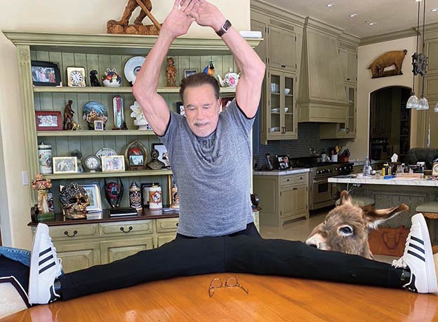 Arnold está en plena forma a sus 74 años y le gusta mostrarlo, aunque sea improvisando en la cocina. Tiene la casa llena de imágenes suyas, de trofeos y recuerdos de su pasado. Al lado de la piscina se alza una escultura de tamaño monumental del dueño de la casa en bañador, luciendo bíceps.