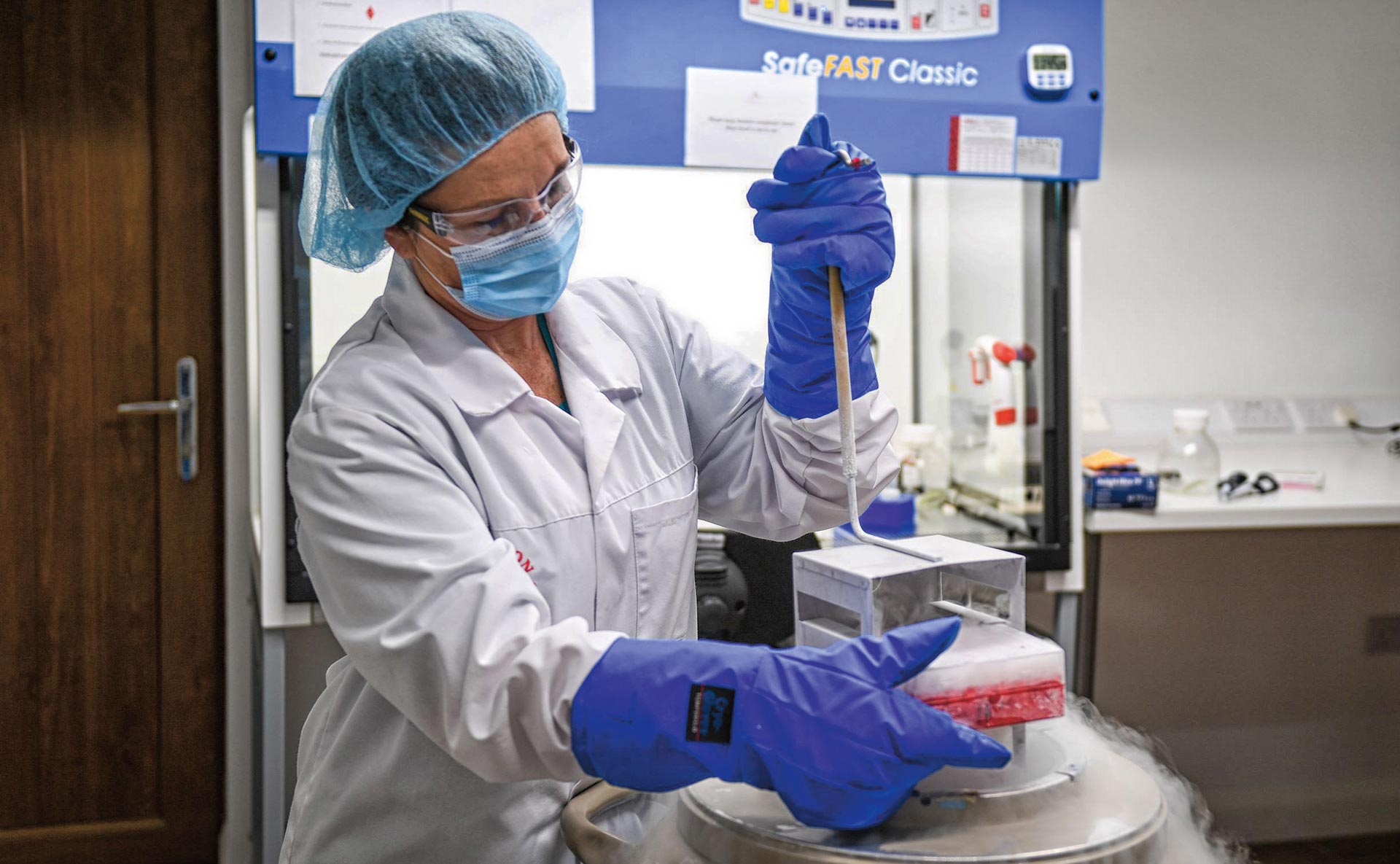 Última oportunidad para los animales en peligro de extinción