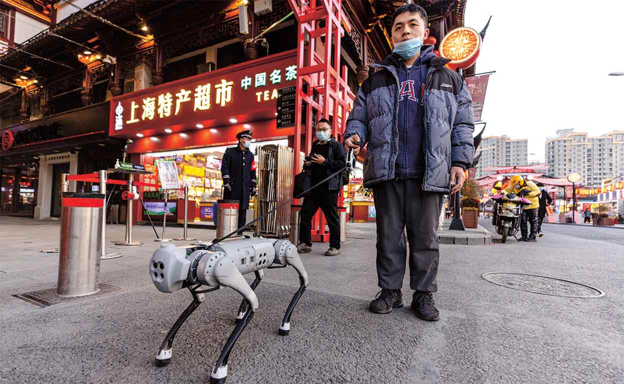 Perros con control remoto, ¿tu nuevo mejor amigo?