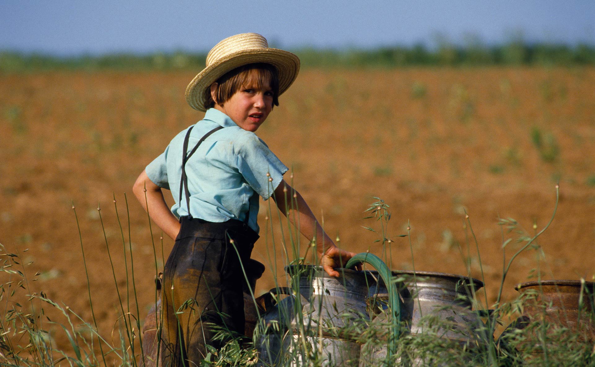 Los amish tienen el secreto para curar el asma infantil