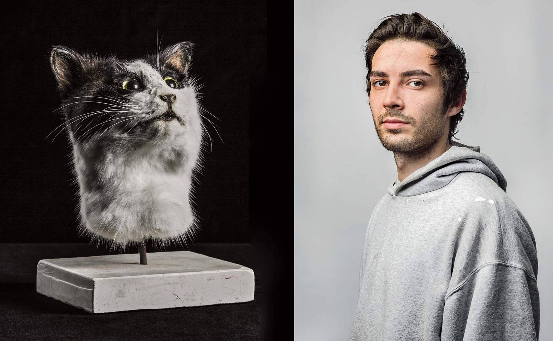 Disecan a sus mascotas para mitigar su pérdida