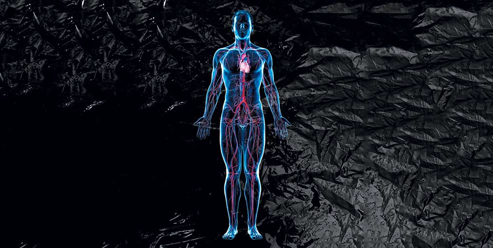 Imagen - El horror del plástico