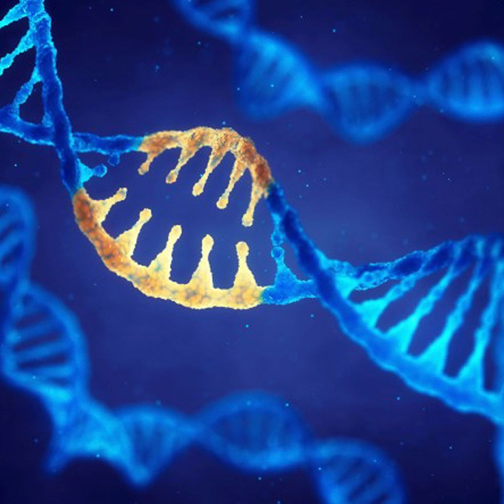 Imagen - 9. Genoma: ADN defectuoso