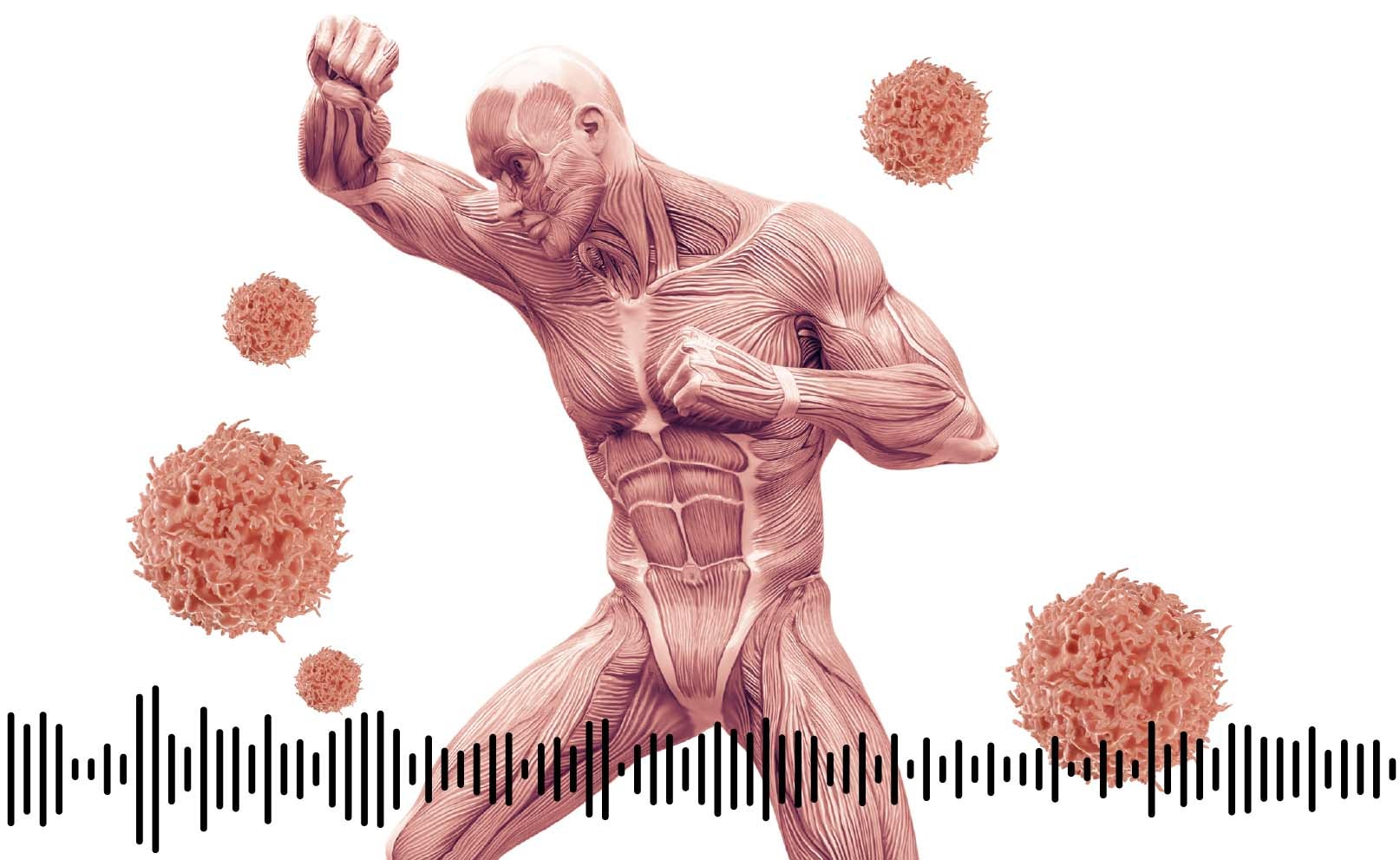 Podcast | Metástasis, el gran desafío del cáncer, explicado en diez minutos