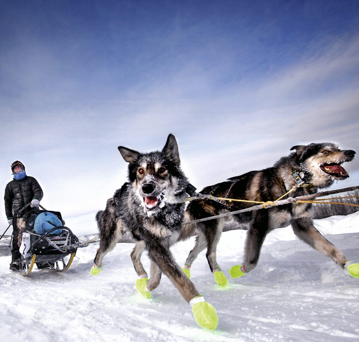 Carreras de trineos extremas: a 40 bajo cero y solo con tus perros