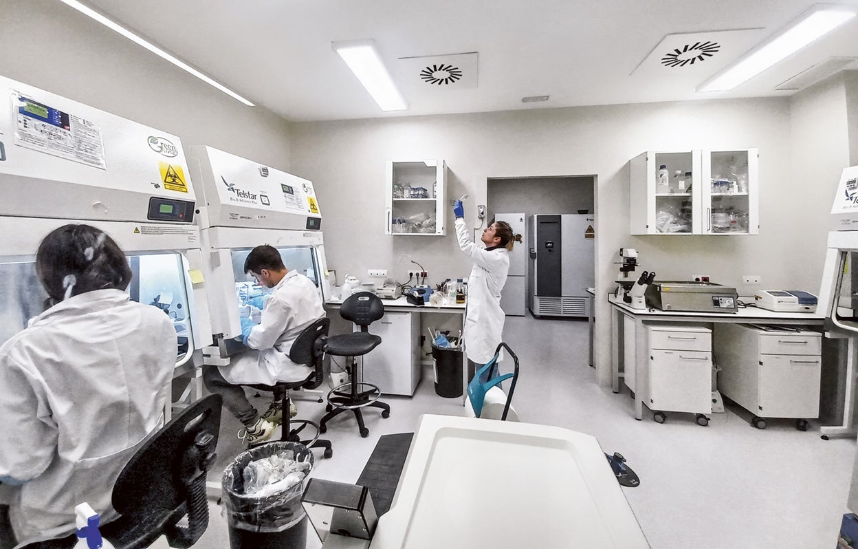 El Grupo de Virología Ambiental y Biomédica (Valencia) cuenta con «los primeros fagos terapéuticos producidos en España», revela su directora, Pilar Domingo-Calap. A falta de validación, esperan administrárselos en breve a tres pacientes con infecciones bacterianas.