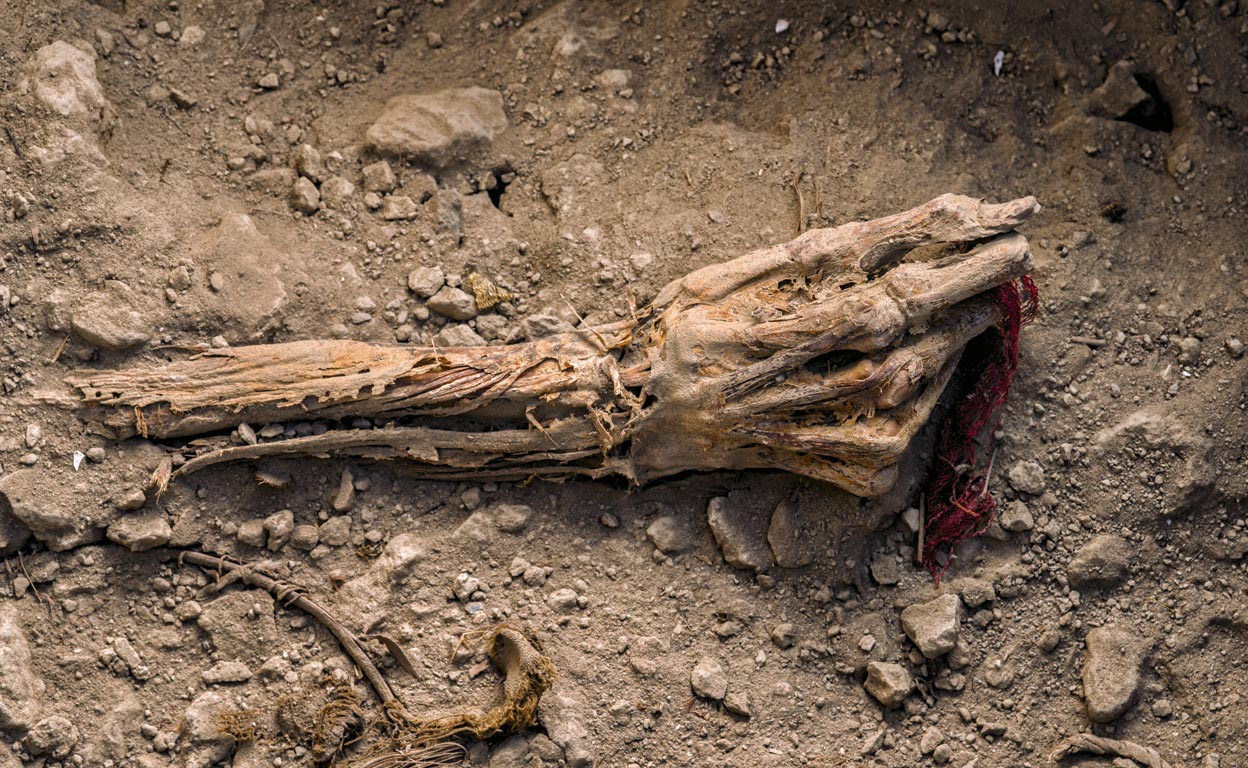 Los secretos de los incas no están grabados en piedra. Están atados en hilos. Esta momia hallada en Huarmey, Perú, apareció con restos de tela roja en la mano. Hay cronistas de la época colonial que cuentan que los nobles incas iban a confesarse con sus quipus, como si con ellos pudieran leer sus pecados.