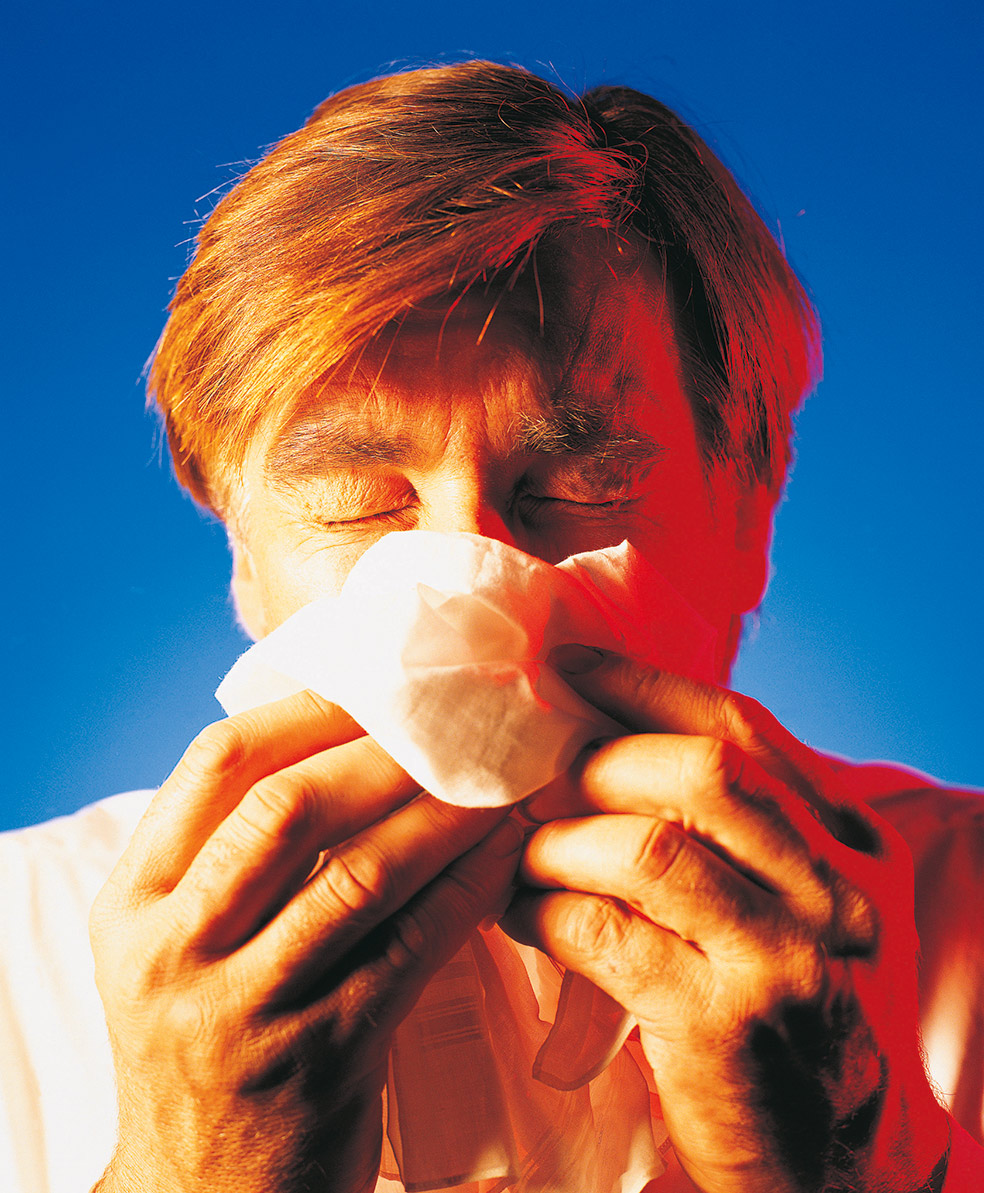 Un equipo de investigadores realizó hace unos años una serie de entrevistas telefónicas a más de 300 voluntarios con edades comprendidas entre los 18 y los 55 años. Hablaron con ellos siete veces a lo largo de tres semanas. Se evaluó la manera en que expresaban tanto las emociones positivas como las negativas y, a continuación, se los expuso al virus causante del catarro común. El resultado: los sentimientos positivos reducían la posibilidad del contagio.