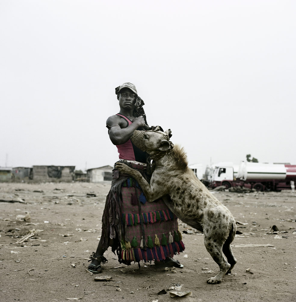 La hiena es muy temida en África. La superstición la ha convertido en aliada de brujos y demonios y sirve a algunos hechiceros para generar temor y reverencia.