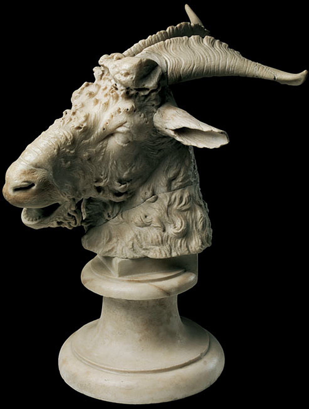 Cabeza de macho cabrío en mármol. Este animal, símbolo de la fertilidad en la Arcadia griega, protagonizaba en Roma la Fiesta de las Lupercales, un rito que buscaba aumentar la fertilidad de las mujeres.