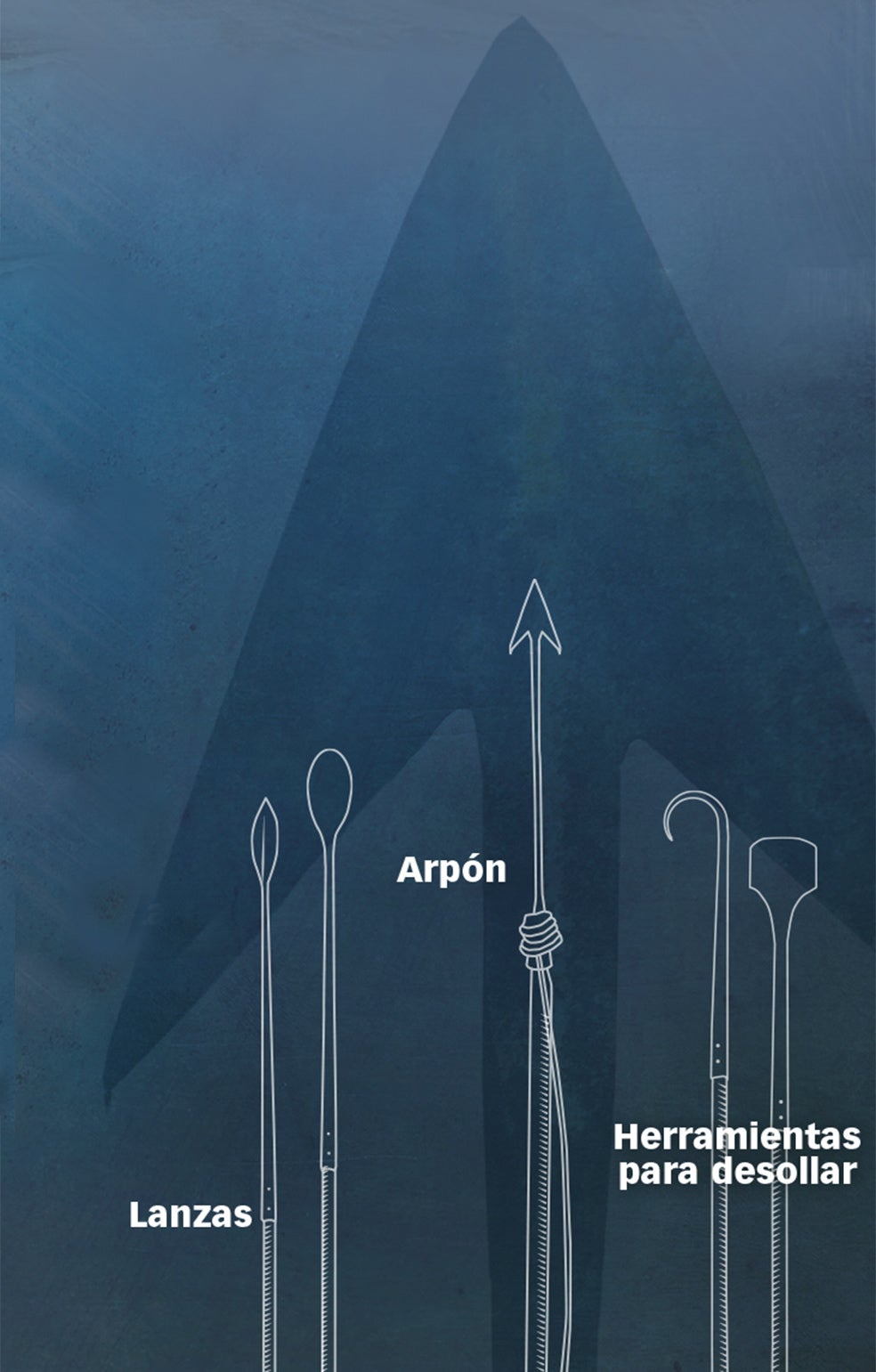 Los vascos utilizaban arpones de hierro vizcaíno de hasta dos metros y medio de largo. Con las lanzas sangraderas se debilitaba al animal para facilitar su captura. Y para su despiece, se cortaba la piel en tiras, se fundía su grasa en grandes marmitas de cobre y se trasladada en las naos en barricas de 16 arrobas (200 litros).