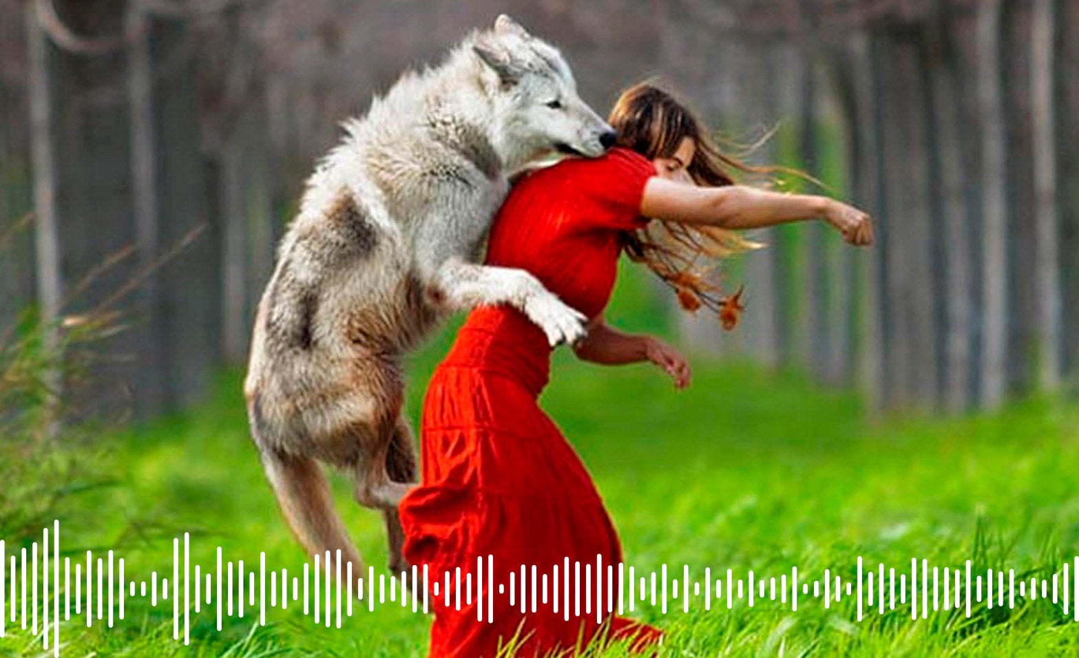 Podcast | Los cuentos de los hermanos Grimm no eran para niños