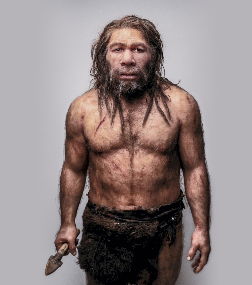 El Homo neanderthalensis era más robusto y estaba mejor preparado para soportar el frío. Pero se extinguió hace 40.000 años. El Homo sapiens (a la derecha), menos corpulento, sin embargo fue capaz de sobre- vivir y expandirse por el mundo desde África.