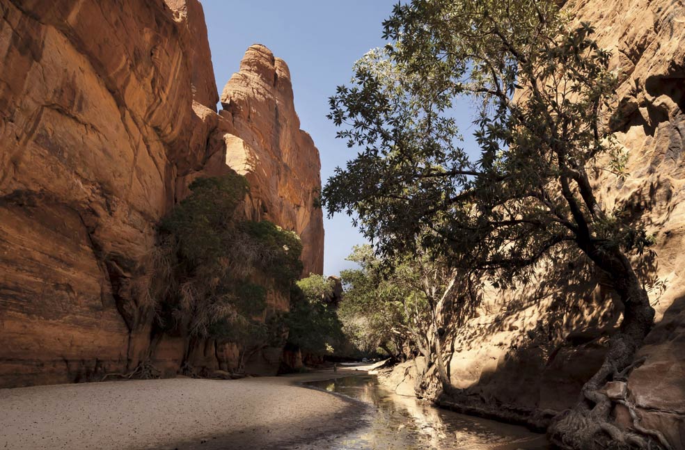 En la meseta de Ennendi quedan reductos del pasado verde del Sahara como las gueltas, charcas que recuerdan que por allí discurrieron ríos. Allí vivieron los últimos leones del Sahara y resisten cocodrilos enanos.